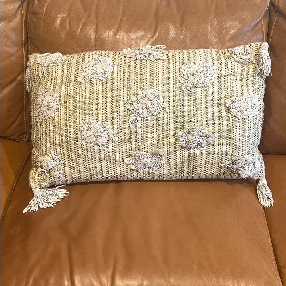 Urban Outfitters Cute Textured Throw Pillow with Tassels